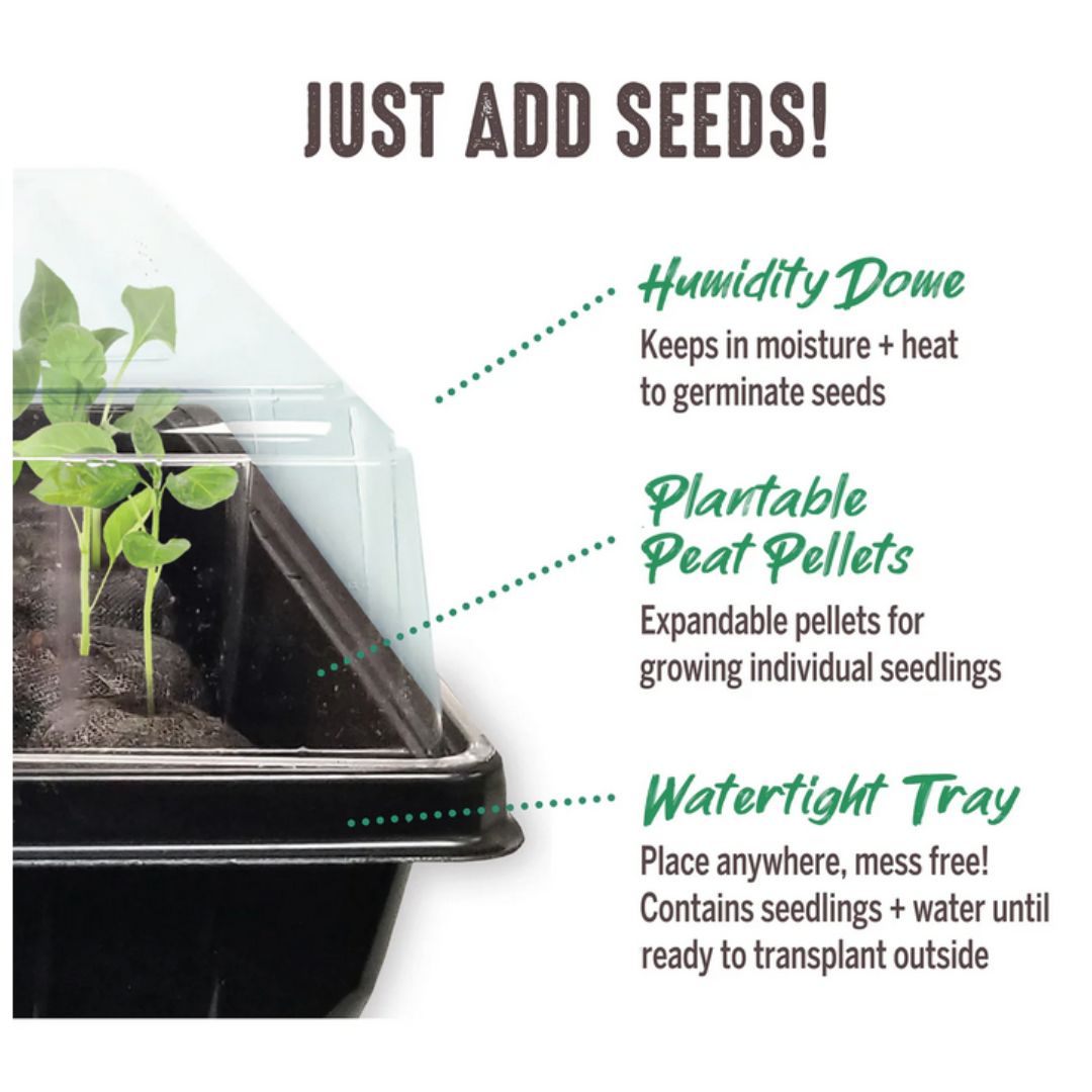 Jiffy – Tomato & Vegetable Greenhouse Kit – 36 Peat Pellets